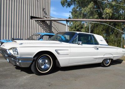 Alice's T  Bird